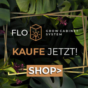 die neue growbox